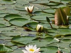 -长春市南湖公园