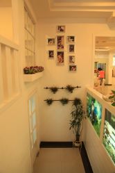 -星豆豆儿童摄影(南郊太白南路店)