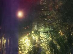-西安国际创新人才交流中心•药浴温泉