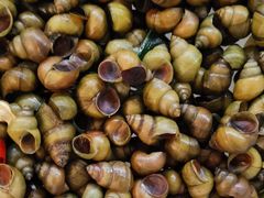 -水库活鱼馆(于桥水库店)