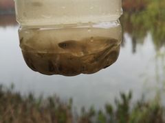 -白鹭湾湿地公园