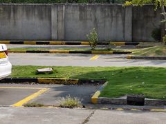 -胜华驾校·小猫学车(银都店)