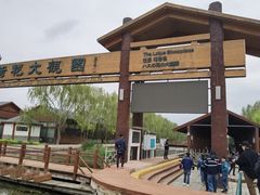 -白洋淀景区