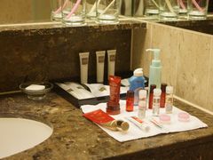 -新加坡瑞士史丹福酒店