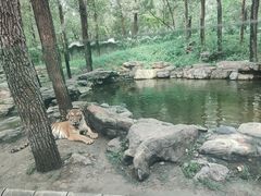 -北京野生动物园