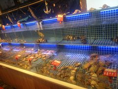 -必点海鲜·鲅鱼水饺(鞍山西道店)