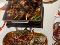 -杨氏青龙虾·羊蝎子(金盛路总店)