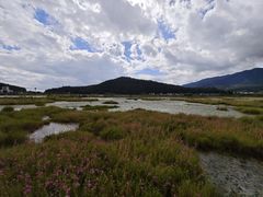 -腾冲北海湿地