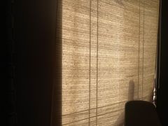 -同庆楼(华强吾悦广场店)