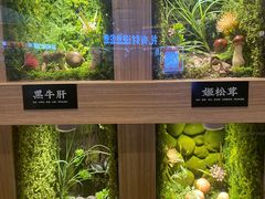 -世纪金源购物中心