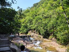 -广州白江湖森林公园