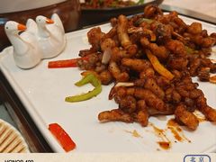 -丽泽山庄·生态怀柔菜·虹鳟鱼(红螺寺店)