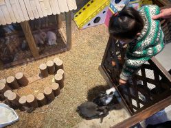 -酷嗒动物文化乐园(cutezoo西溪乐天城店)