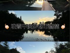-云溪植物园