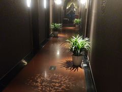 -金狮麟·新豫菜(杏石口路店)