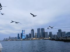 -东港音乐喷泉广场
