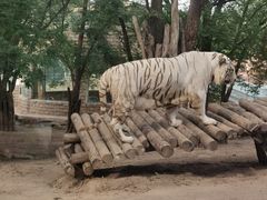 -北京野生动物园