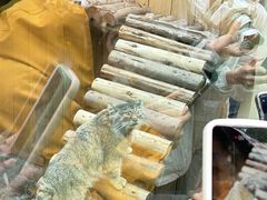 -青藏高原野生动物园