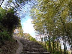 -丹山赤水风景名胜区