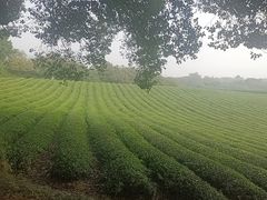 -敬亭山风景名胜区