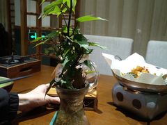 -十二舍·湯物素煮(江泰潤政店)