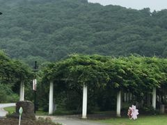 -苏州上方山国家森林公园