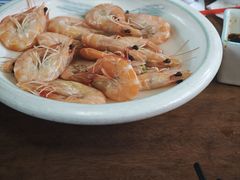 -小小饭店·休闲农庄·安吉松树林里的农家菜