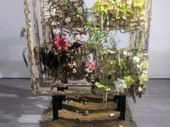 -深圳国际园林花卉博览园