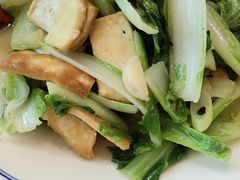 -老雒阳面馆·水席·洛阳菜(纱厂路店)