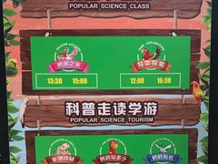-广州长隆飞鸟乐园