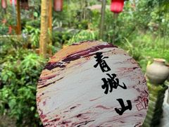 -青城甲(青城山店)