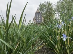 -西青郊野公园
