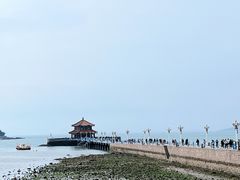 -栈桥景区