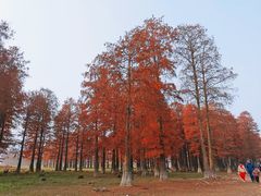-四明湖