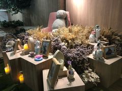 -藦茜花园宠物主题亲子互动体验馆(国顺东路店)