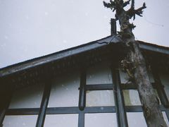 -见山书院
