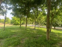 -广富林郊野公园