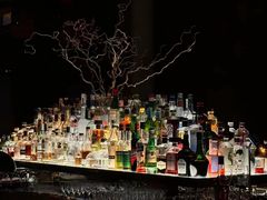 -新加坡丽思卡尔顿美年酒店