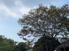 -东山雕花楼