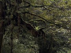 -龙苍沟森林公园