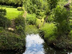 -白马涧龙池景区