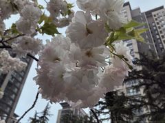 -木塔寺遗址生态公园