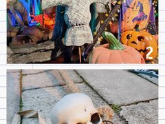 -横店影视城梦幻谷园区