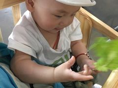 -梦幻岛海鲜自助·涮烤一体(启东申港城店)