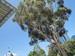 -墨尔本博物馆(Melbourne Museum)