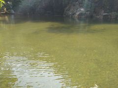 -百里鲜(羚羊峡古栈道森林公园店)