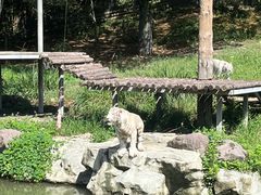 -宁波野生动物园