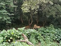 -广州长隆野生动物世界