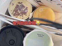 -JT PREP国际学科课程·IB·AP·Alevel(陆家嘴校区)