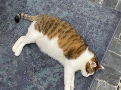 -海峡创意产业园